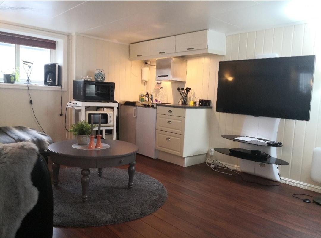 אנדנס Sentral Studioleilighet Ved Stranden Og Hvalsenter Nb Ma Vaskes Etter Endt Leie Eller Betale Rengjoringshjelpen 500 Kr מראה חיצוני תמונה